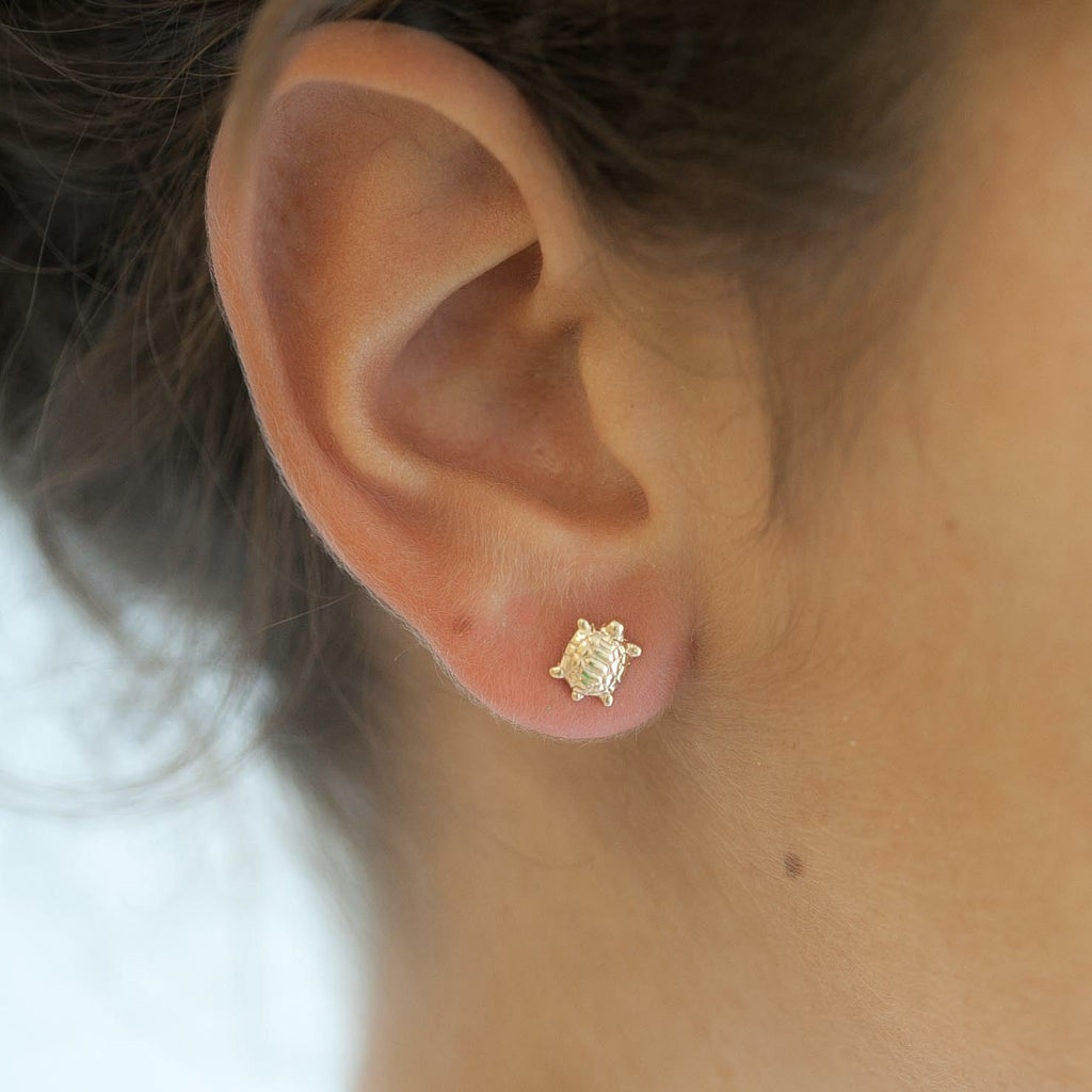 Ohrringe Stecker Schildkröte - 16K Vergoldet | Shop Nory