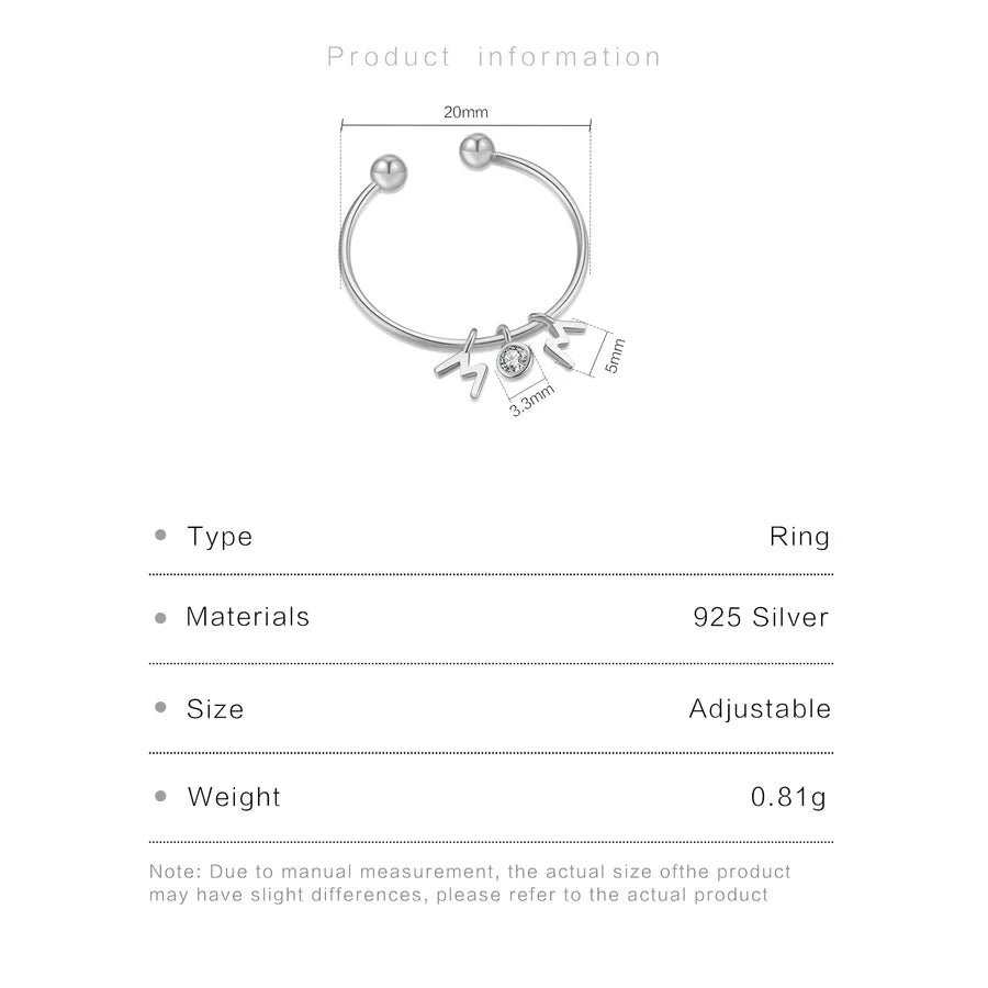 18K vergoldete weiße vergoldete 925 Sterling Silber Zirkon runde Buchstabenringe 925 Sterling Silber Ringe | Shop Nory