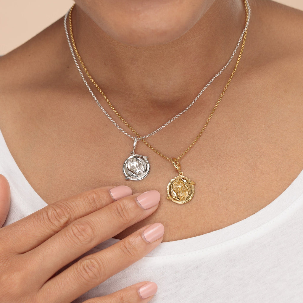 Silber Fische Sternzeichen Charm Halskette | Shop Nory