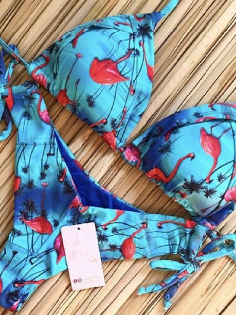 Bikinis Satz Push up