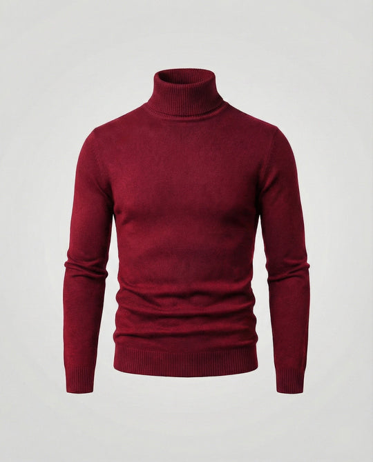 Herren Rollkragenpullover aus weichem Merinowolle