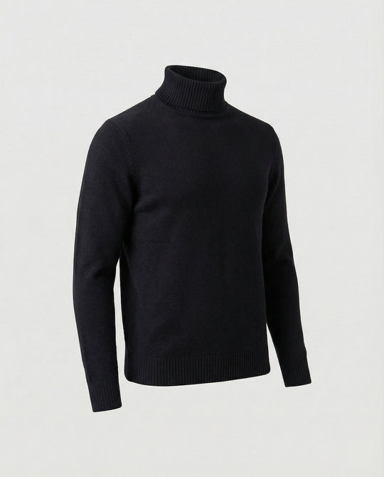 Herren Rollkragenpullover aus weichem Merinowolle