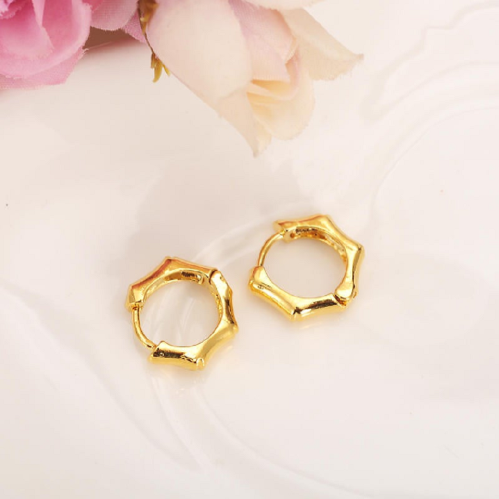 Kleine Hoop Bambus Gelenkform Gold gefüllte Ohrringe | Shop Nory
