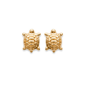 Ohrringe Stecker Schildkröte - 16K Vergoldet | Shop Nory