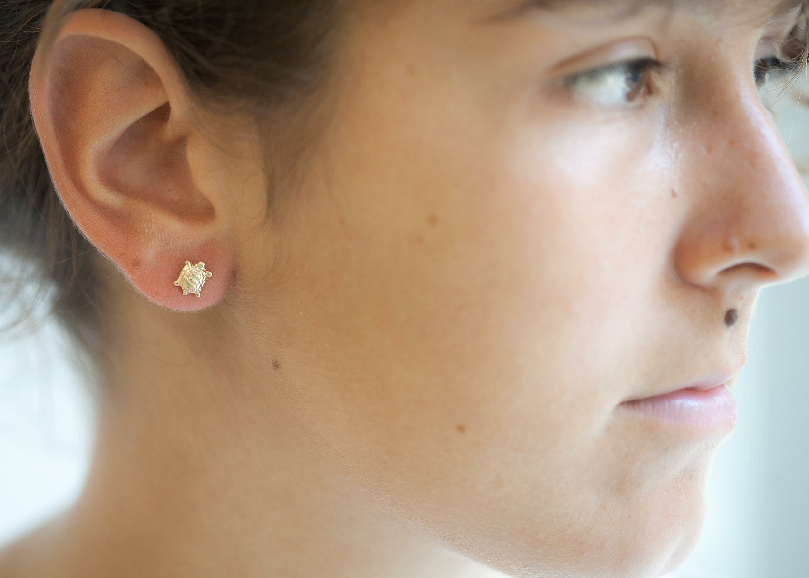 Ohrringe Stecker Schildkröte - 16K Vergoldet | Shop Nory