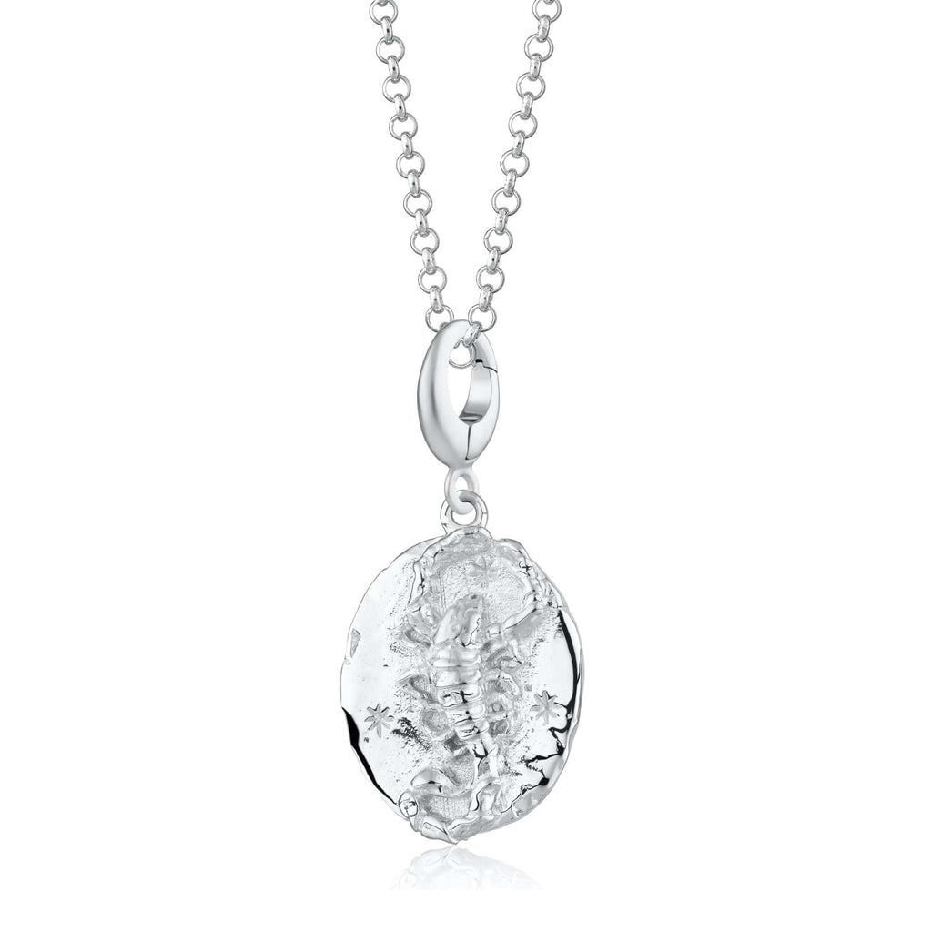 Silber Scorpio Zodiac Charm Halskette | Shop Nory