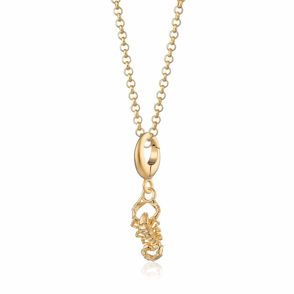 Gold Skorpion Charme Halskette | Shop Nory