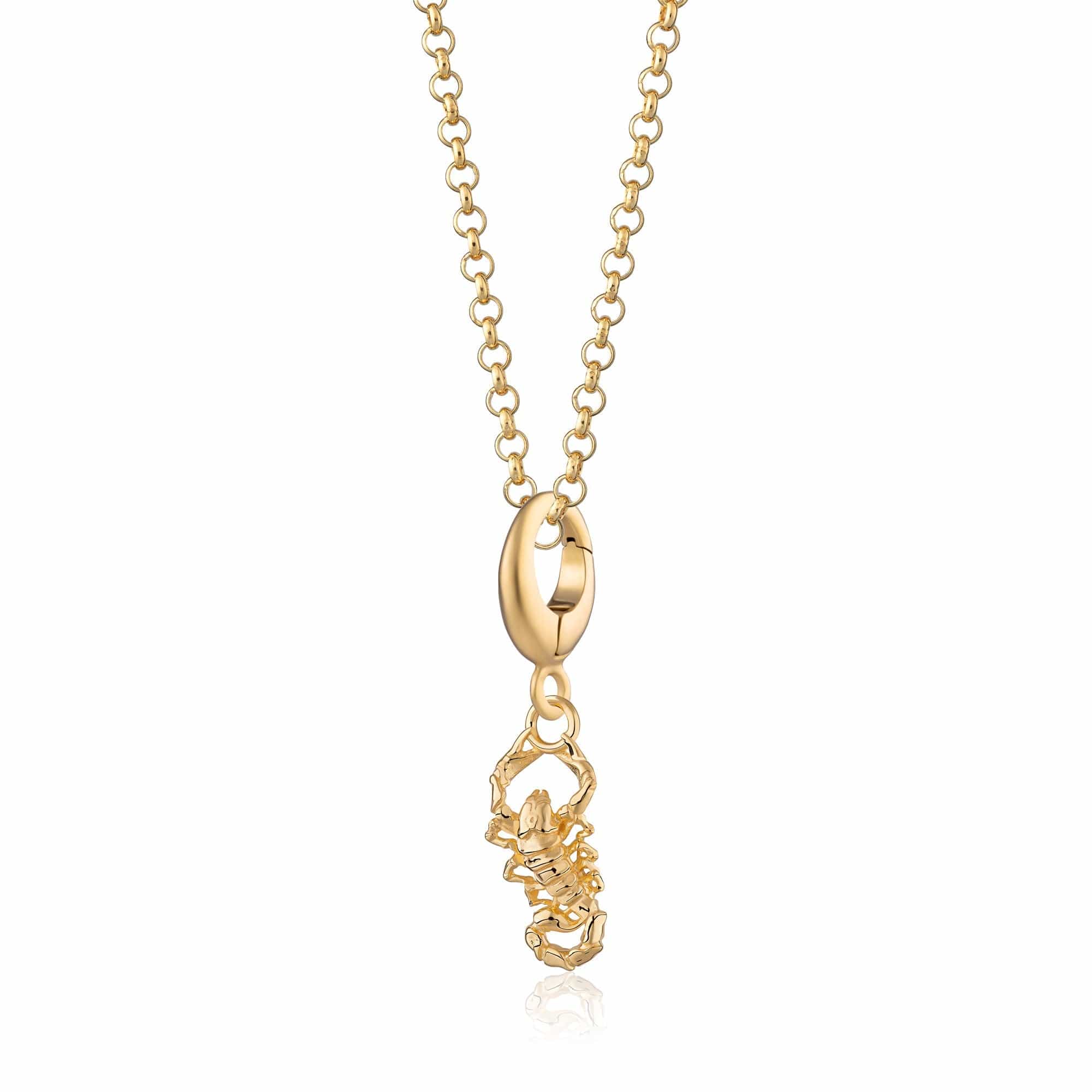 Gold Skorpion Charme Halskette | Shop Nory