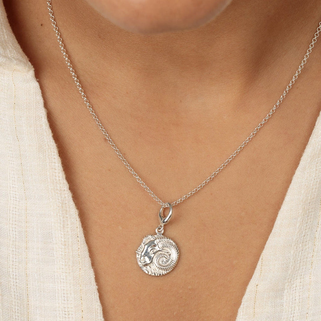Silber Aries Zodiac Charm Halskette | Shop Nory