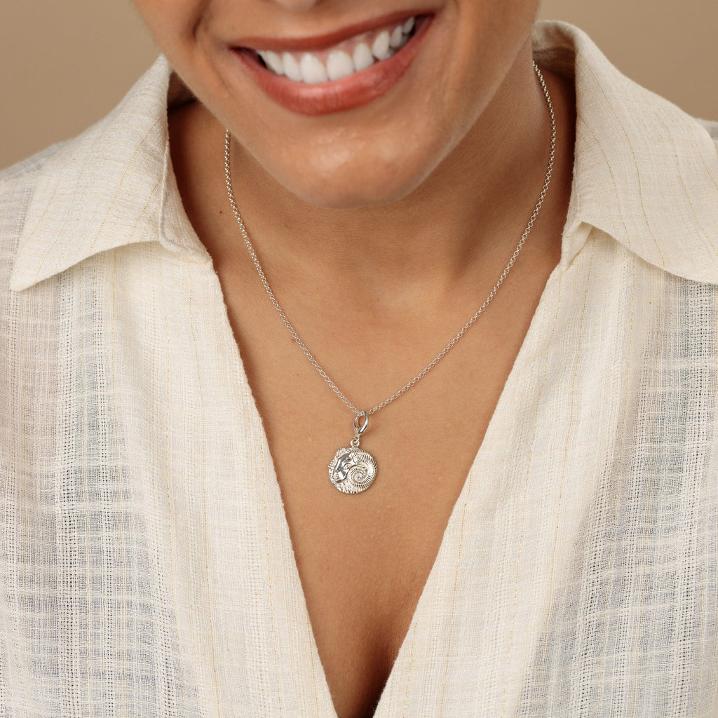 Silber Aries Zodiac Charm Halskette | Shop Nory