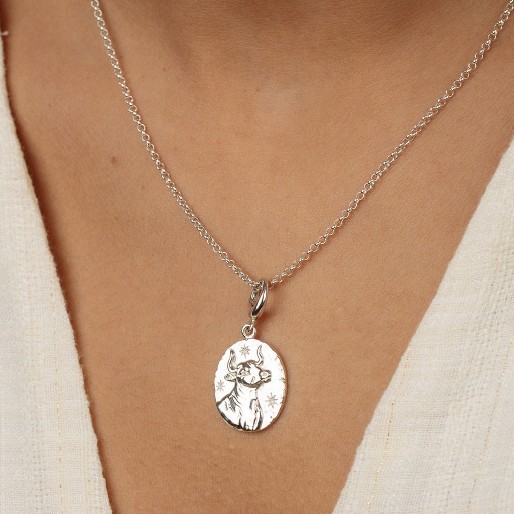 Silber Taurus Zodiac Charm Halskette | Shop Nory