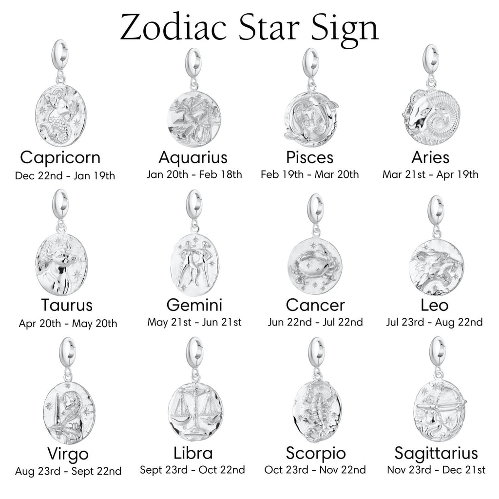 Silber Zodiac Charm Halskette | Shop Nory
