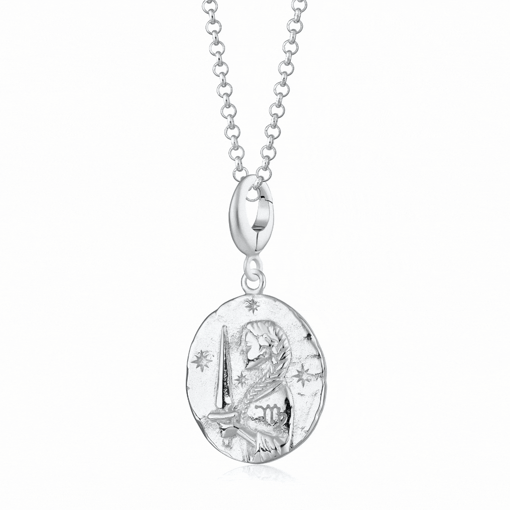 Silber Zodiac Charm Halskette | Shop Nory