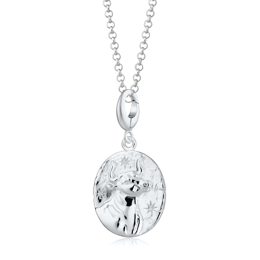 Silber Taurus Zodiac Charm Halskette | Shop Nory